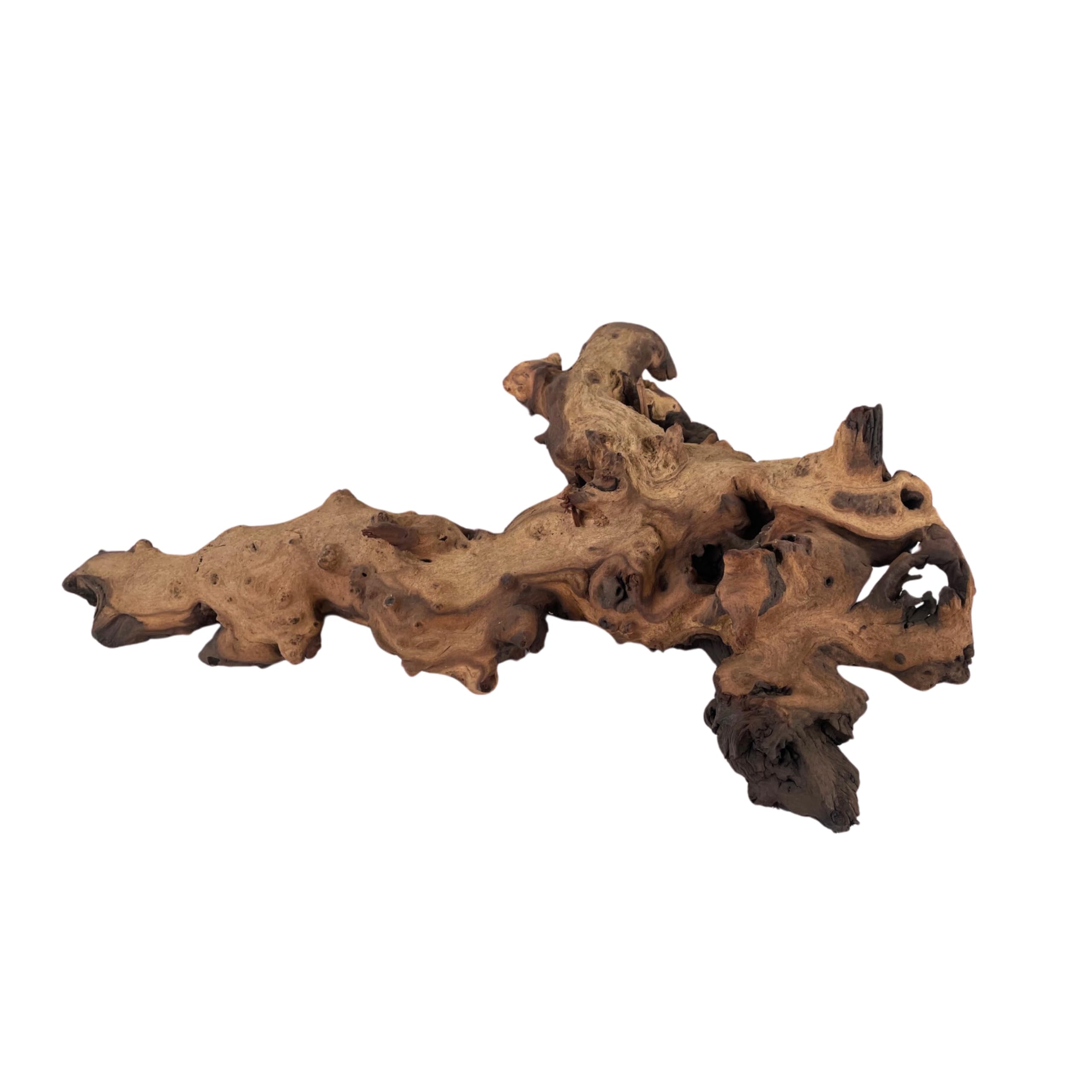 De La Terre Mopani Wood Driftwood Branch for Decor, Acquarium, Habitats (Medium)
