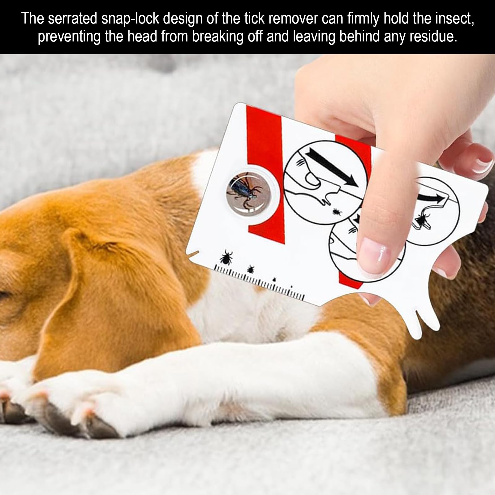 2 pièces Carte à Tiques, Carte à Tiques Homme & Enfants, avec Loupe - Rapide & Doux Enlever Les Tiques pour Chien, Homme & Animal de Compagnie | Tick Cards for Humans