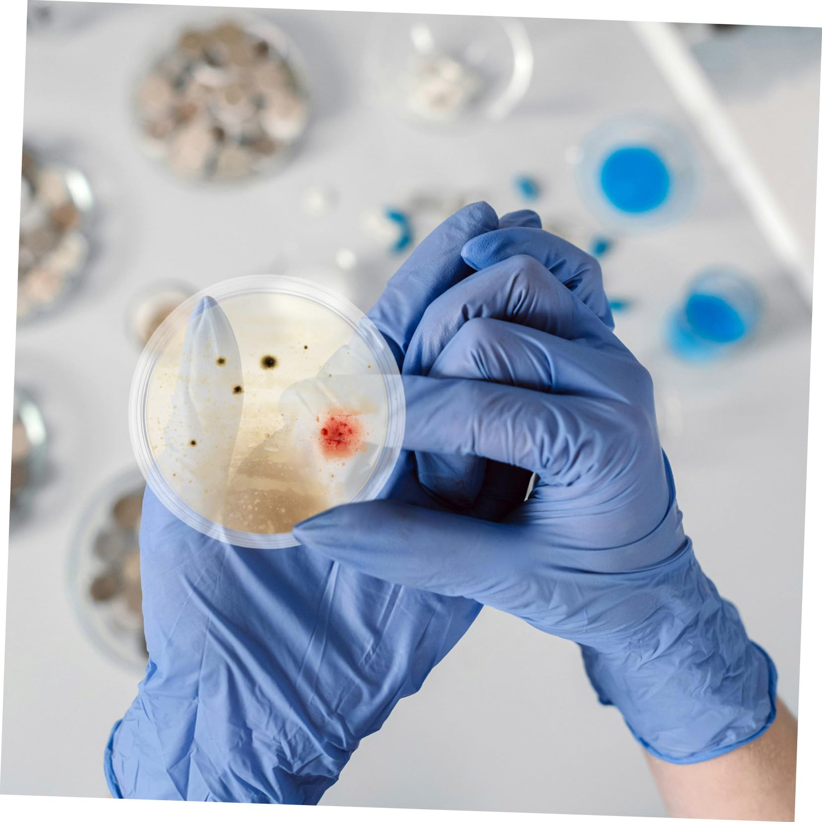 ABOOFAN 10piezas Placa De Petri De Vidrio Experimental De Placa De Cultivo De Laboratorio Para Microbiológico Tapa Incluida Herramienta Para Ciencia y Cultivo
