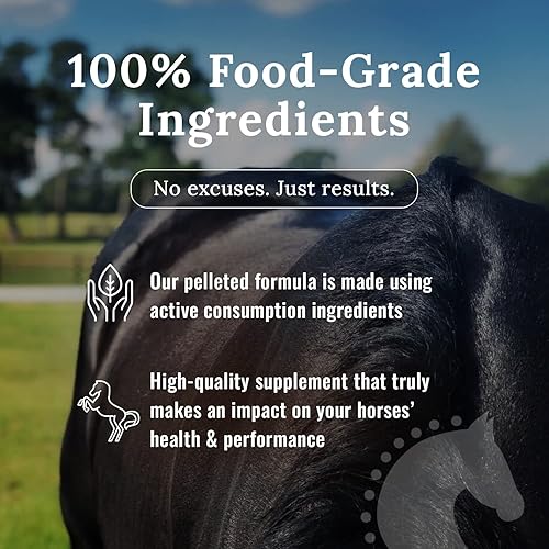 Miniatura 4 de Mojo Suplementos para caballos articulares, suplemento peletizado equino, suplemento natural para el cuidado de las articulaciones para caballos,