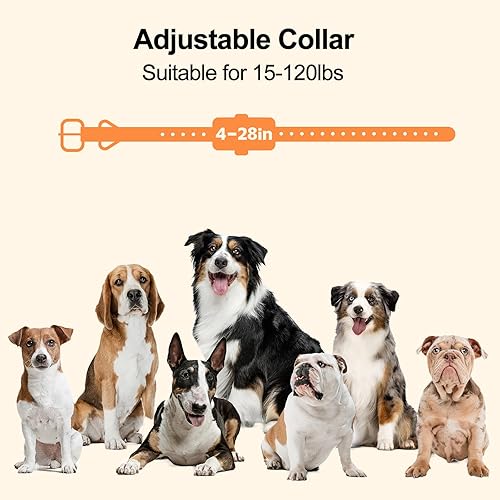 Miniatura 6 de Collar de entrenamiento para perros, collar de perro de larga distancia de 2680 pies con control remoto, collar de choque con iluminación fría y 3