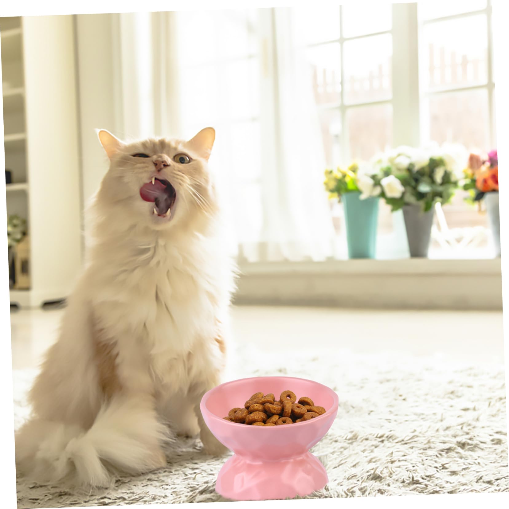 INOOMP Comedero De Cerámica para Gatos y Plato Antivoracidad y Antivuelco Diseño Ergonómico para Alimentación y