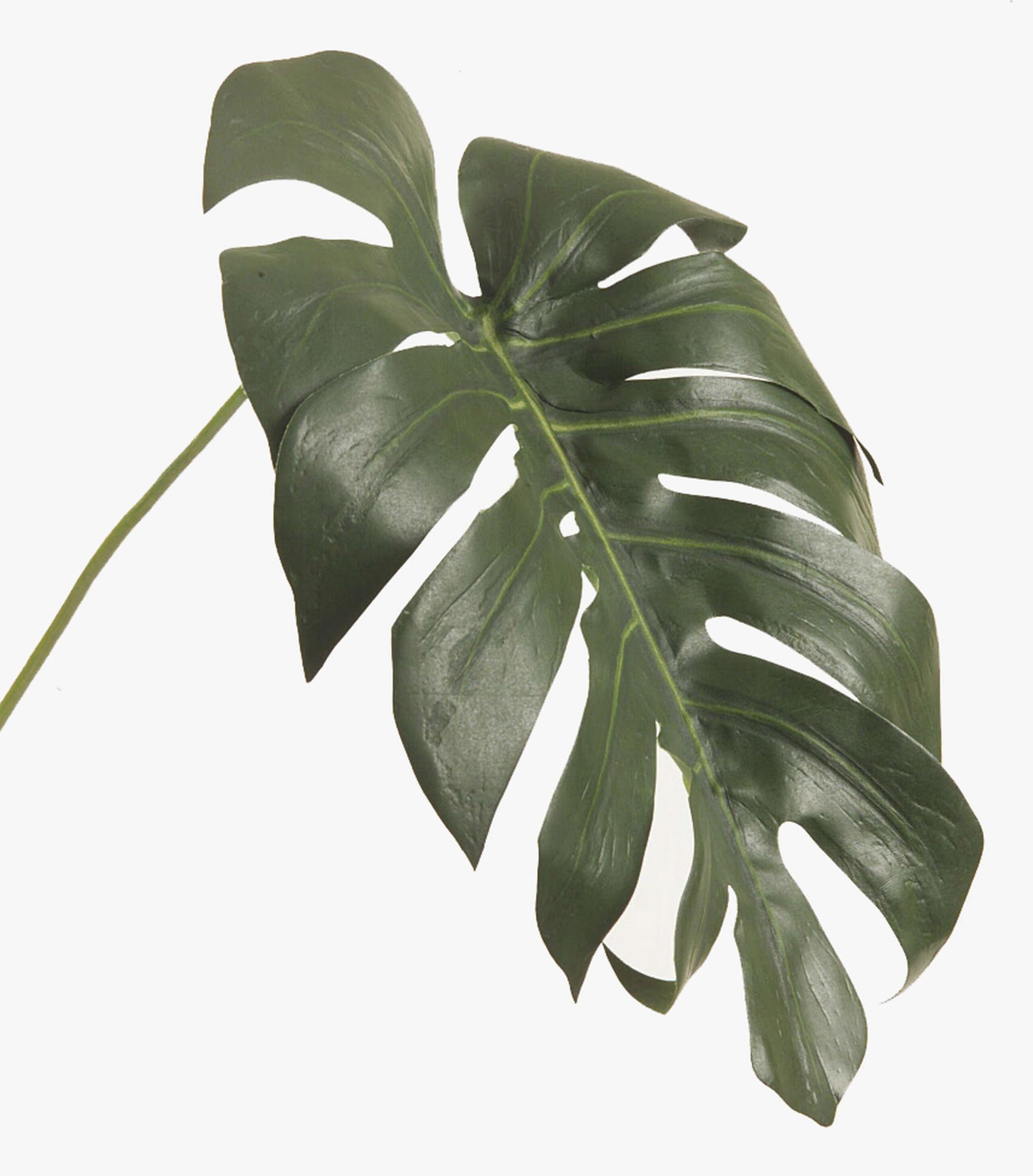 artplants.de Artificial Monstera leaf UMBERTO, dark green, 22"/55cm - Silk foliage/Plastic leaves