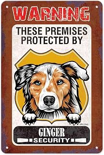 Warning Dog Metal Sign Dog in Yard Decor Sign Funny Australian Shepherd Dog These Premises Protected by Dog Home Security Tin Sign Dog Gift Decor for Yard Garden Fence 18x12 Inch