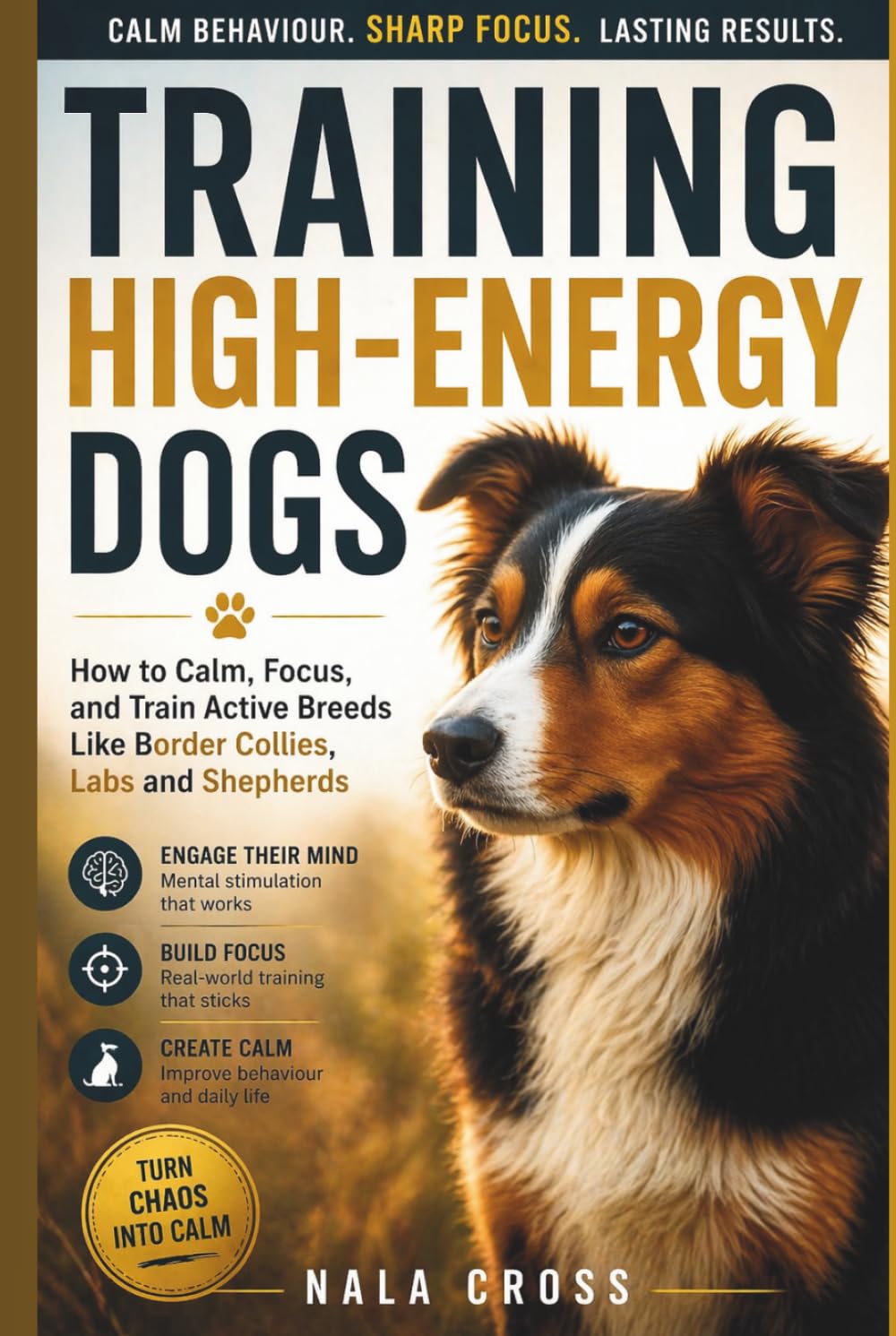 Training High-Energy Dogs: How to Calm, Focus, and Train Active Breeds Like Border Collies, Labs, and Shepherds