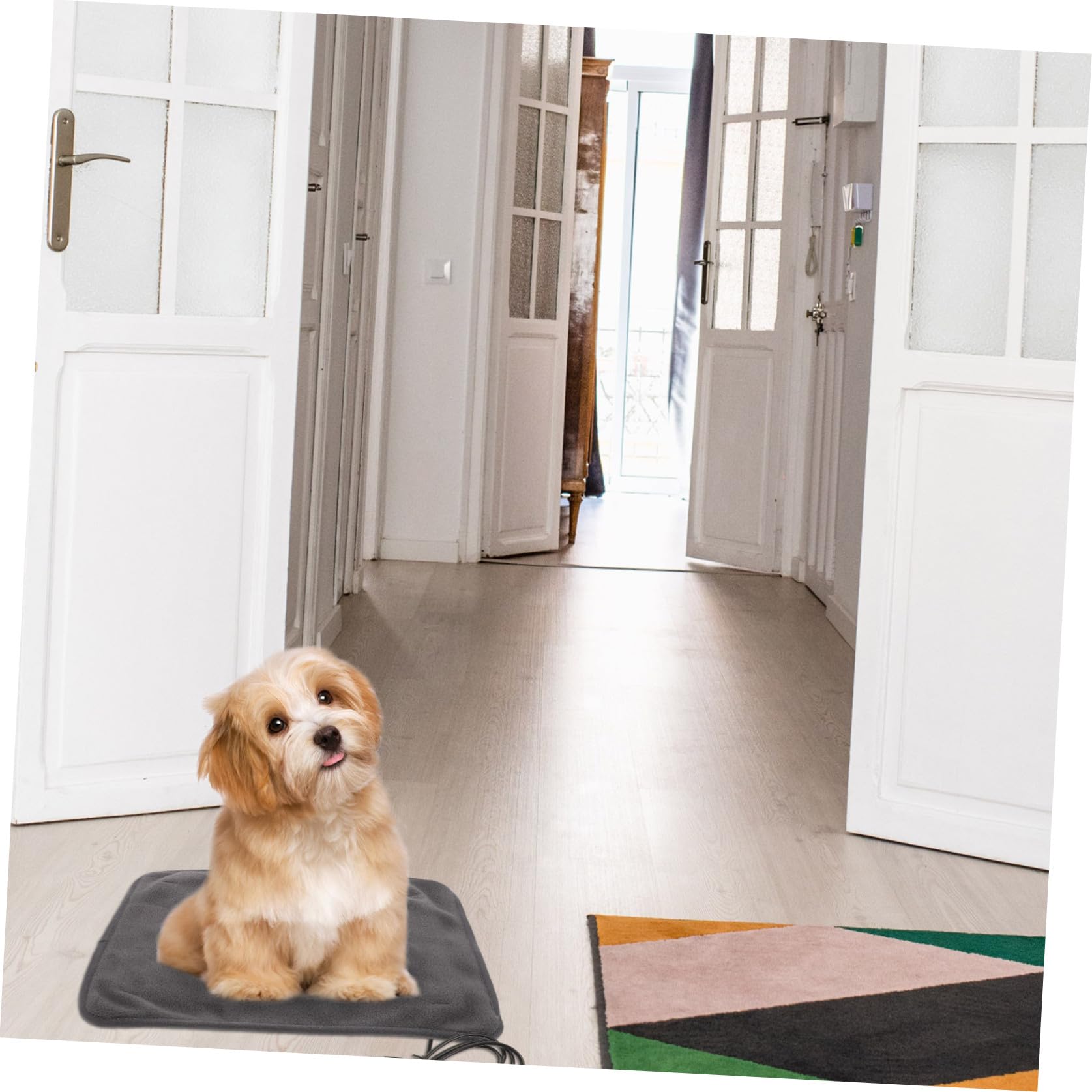 HEMOTON Verstellbare Heizmatte Für Haustiere USB-heizkissen Für Hunde Und Katzen Für Sofa Bett Und Reisen Mit Temperaturkontrolle Und Abnehmbarem Bezug in Tiefgrau