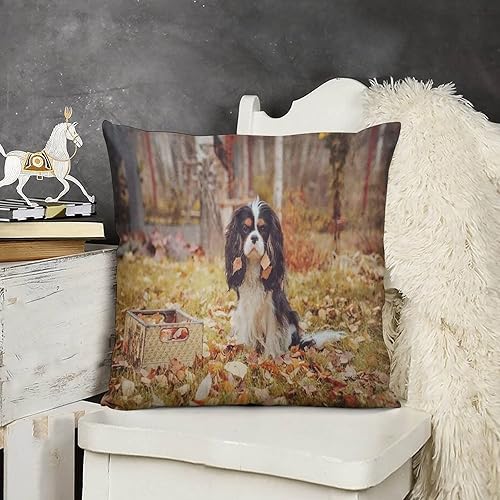 Miniatura 3 de DMIPIRLS Juego de 1 funda de almohada decorativa de granja, moderna, cuadrada, 22 x 22 pulgadas, fundas de cojín para sofá, silla, dormitorio,