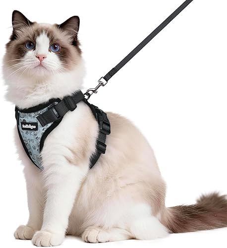Miniatura 65 de rabbitgoo Cat Harness and Leash for Walking, Escape Proof Soft Adjustable Vest Harnesses for Cats, Easy Control Breathable Reflective Strips Jacket