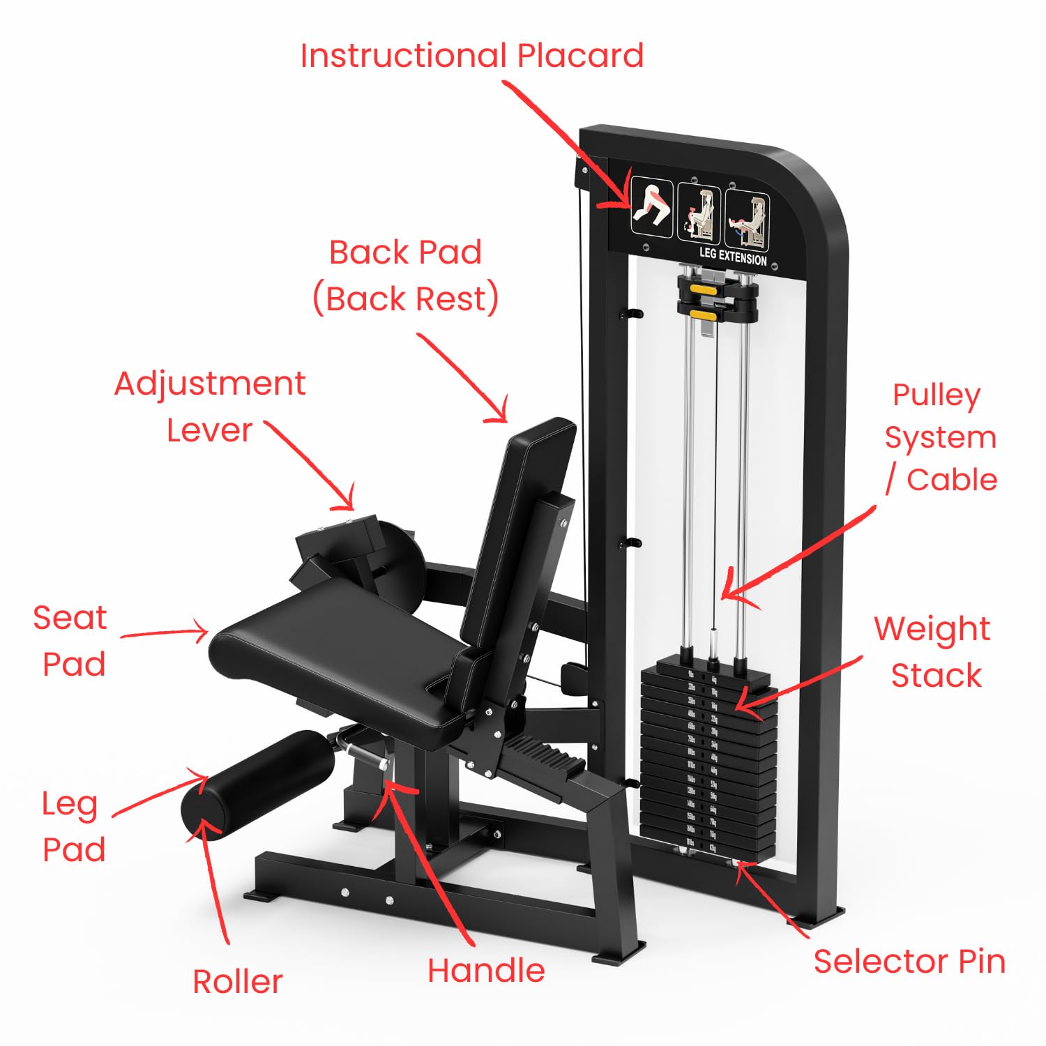 Leg Extension Machine with 180 lb Weight Stack – Heavy-Duty Commercial Grade Lower Body Home Gym Equipment – Adjustable for Comfort – Strengthens Quads, Builds Knee Stability & Muscle Tone