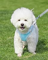 Vista 2 de Solmoony Arnés para perro para perros pequeños y medianos, fácil de poner, arnés de malla suave y juego de correa para gatitos y cachorros, arnés