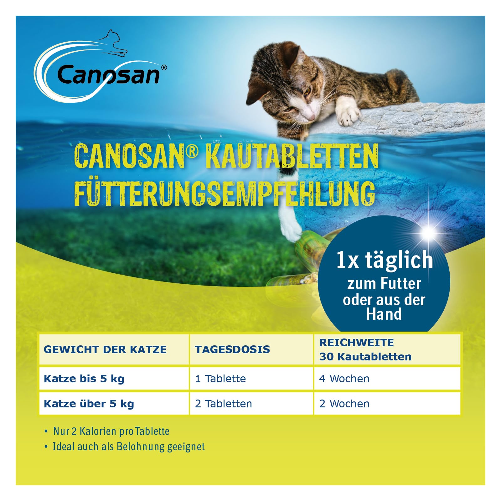 CANOSAN Pastillas masticables, 3 x 30 unidades, mejillón de labios verdes para la salud articular en gatos