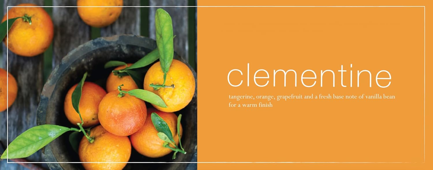 Mangiacotti Kitchen Sink Gift Set Plant-Based Liquid Dish Soap and All-Purpose Cleaner Surface Cleanser, 14.4 Fluid Ounces Each, Clementine - Image 4