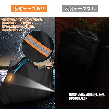 【カバー・付属なし】強運の法則 PAS-096 | GANADOR