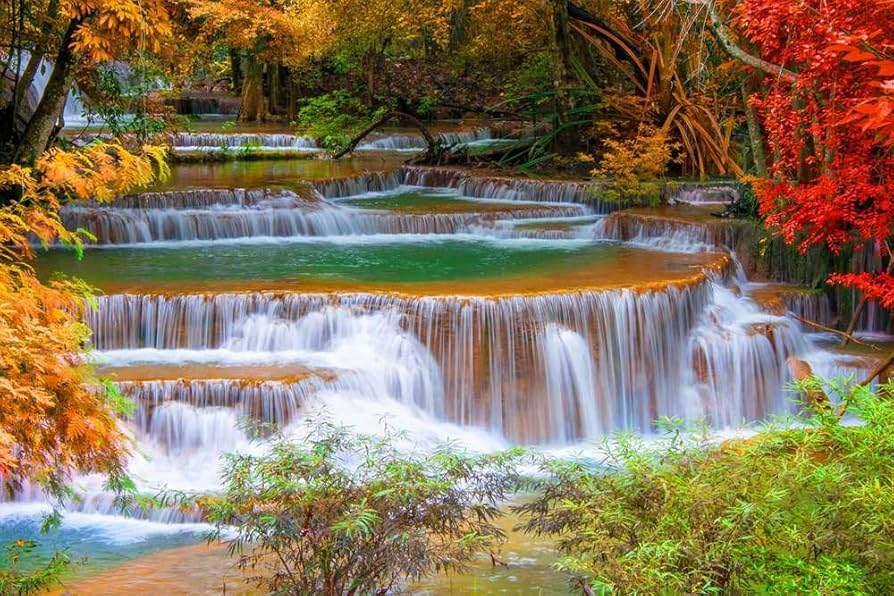 Amazon.co.jp: 美しい秋の森、滝、川、山 (025) 自然の風景 景観
