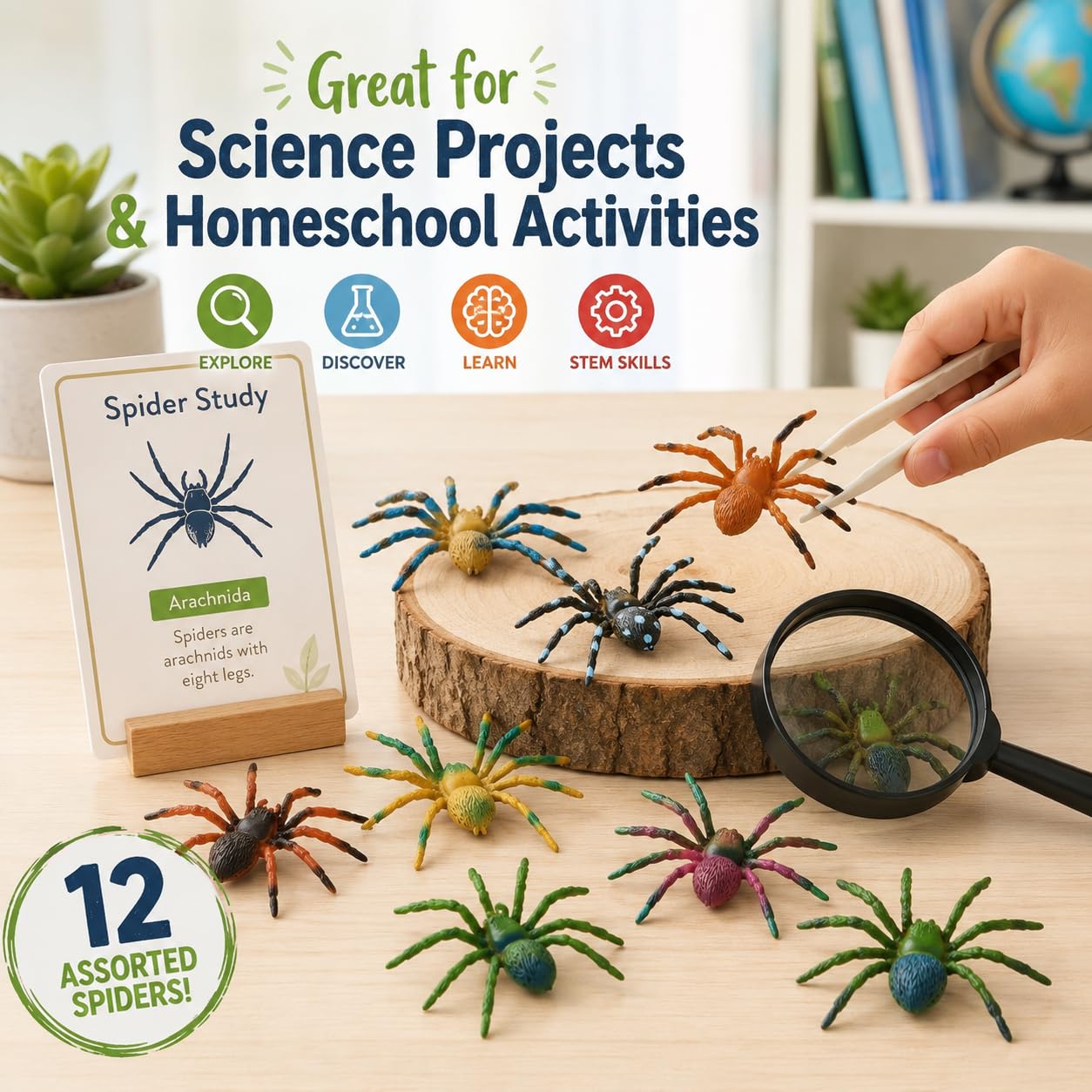 OOTSR 39 pièces en plastique réaliste insectes et papillon araignée chauve-souris pour enfants pour l'éducation, Halloween, thème jouet, fête, cadeaux d'anniversaire