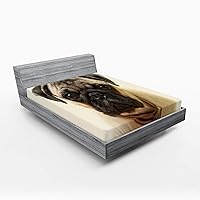 Vista 42 de Sábana Ambesonne bajera, ajustable, multicolor, en colores y tres tamaños