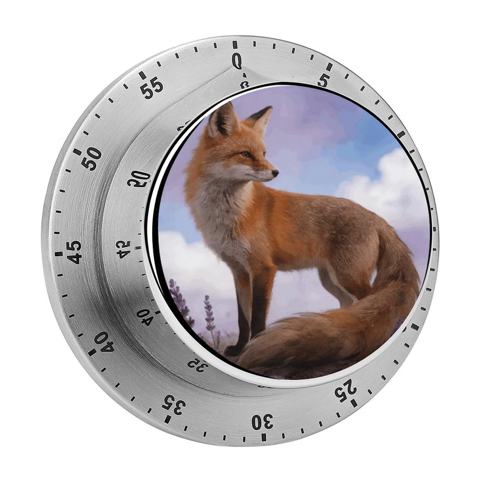 Fox Mechanical Kitchen Timer, Magnetic Stainless Steel Countdown Timer, Loud Alarm Cooking Timer for Baking, Cooking, Fitness, Classroom, No Battery Needed