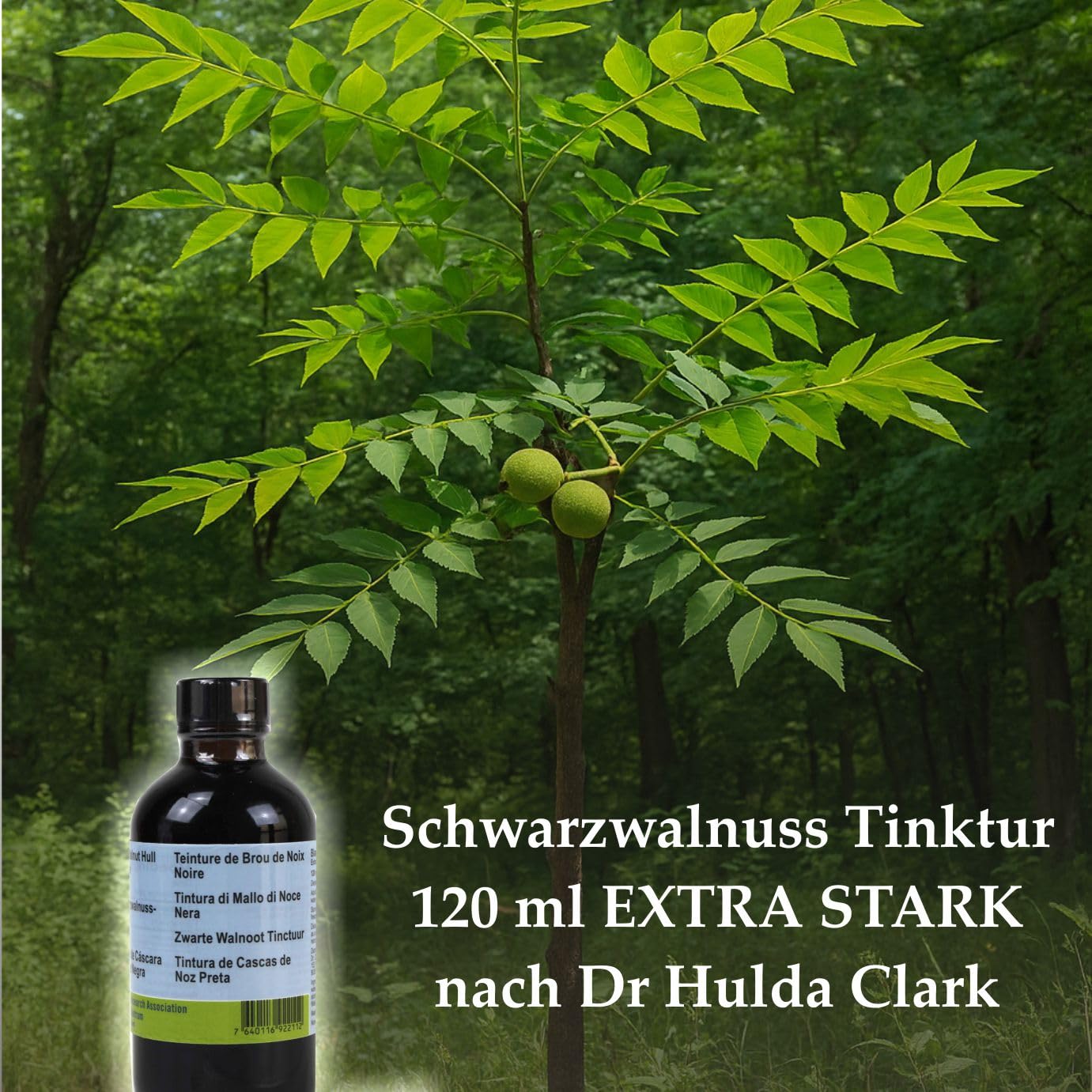 Nalewka z orzecha czarnego 120 ml Ekstra mocna wg Dr Hulda Clark