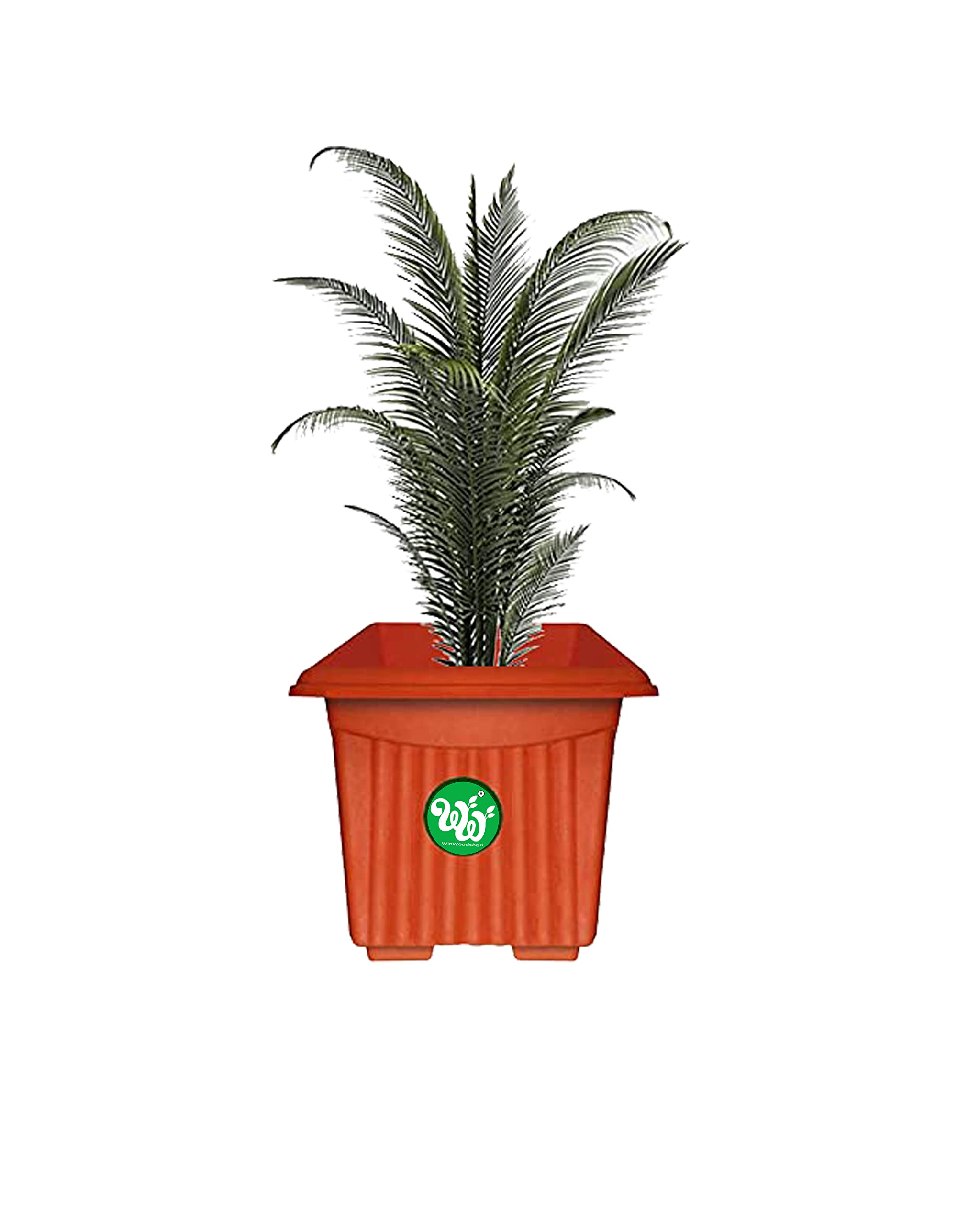 WinWoodsAgri UV Treated Square Plastic Planter Terracotta Color Heavy Duty Highly Durable Plant Container Gamla for Indoor Home Decor & Outdoor Balcony Garden (12, 3) (B0C2DFJRMG) Amazon Price History, Amazon Price Tracker