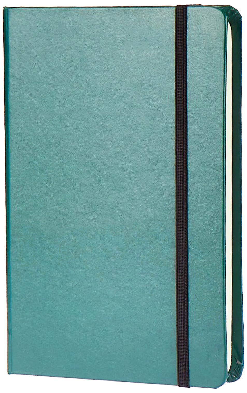 amazon basics Classic Notebook, Plain - (130mm x 210mm) - 240 pages (Green)