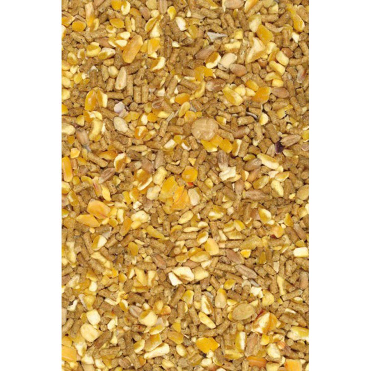 Giuntini Linea Agri Coccodoro 25kg Micronizzato No OGM No COCCIDIOSTATICO mangime per Galline ovaiole con granaglia, aggiunta di gusci d'ostriche Alta qualita' ed Erba Medica