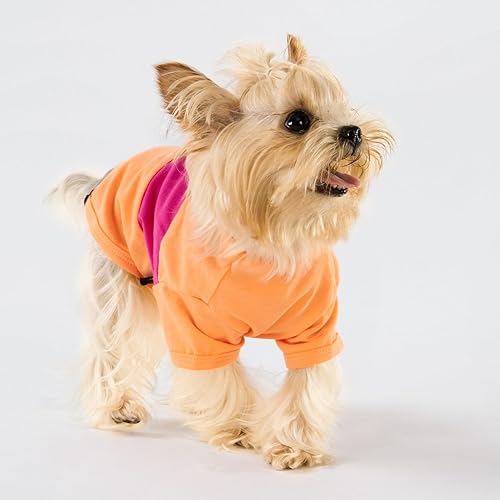 Miniatura 10 de Fitwarm Paquete de 3 camisas para perro a rayas con bloques de color, ropa de verano para perros pequeños, camiseta transpirable y ligera para