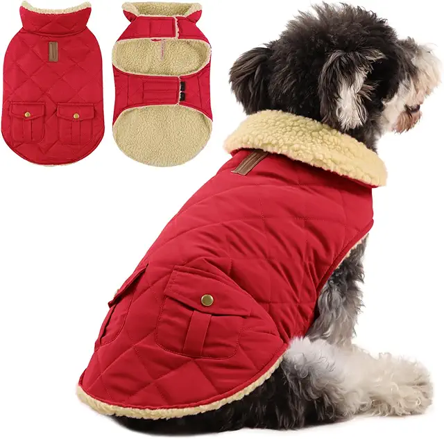 Queenmore Waterproof Dachshund Coat - Cage Jacket for Small Dogs, Red, Size S