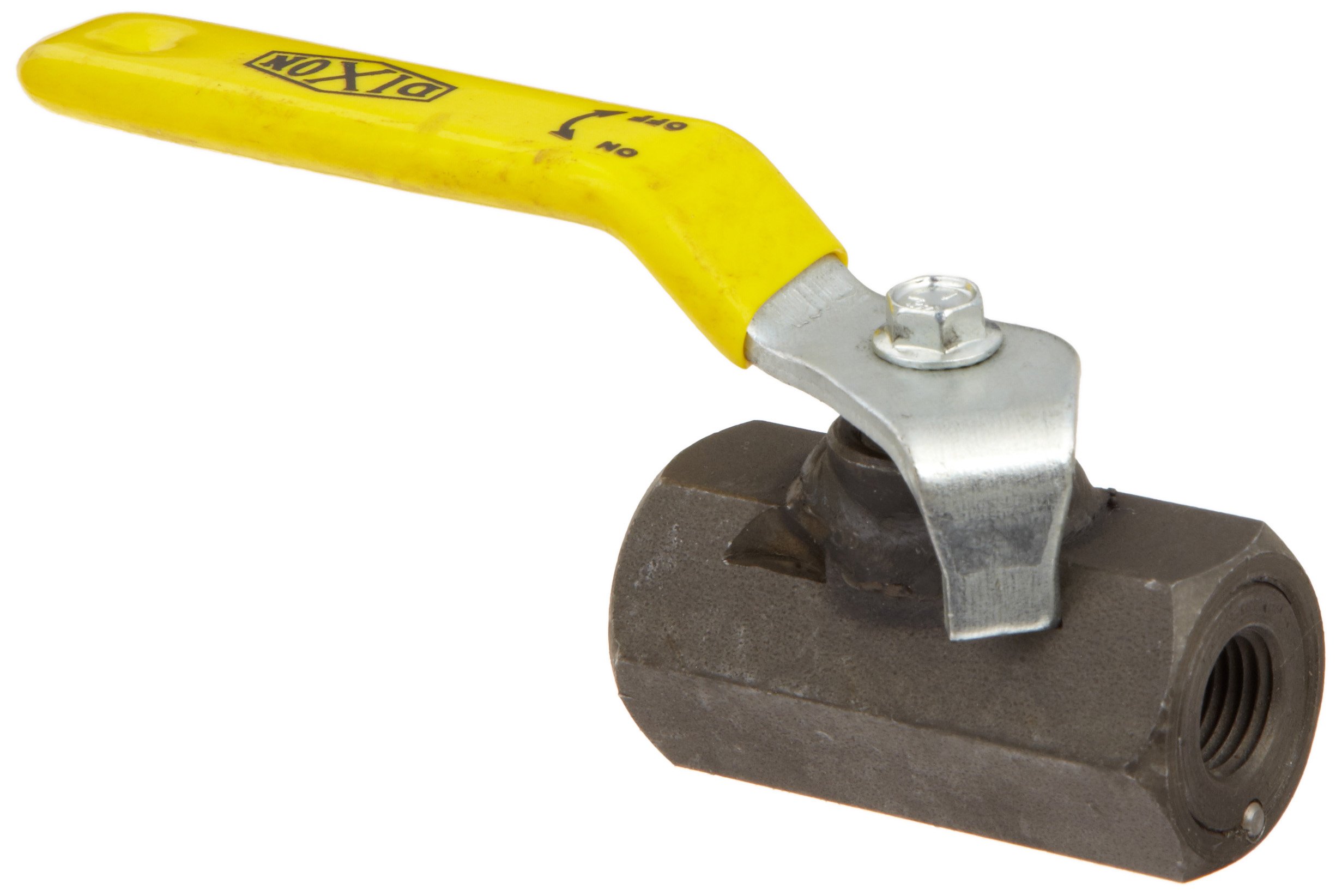 Dixon IBV25 Carbon Steel Ball Valve, 1/4" NPT Female