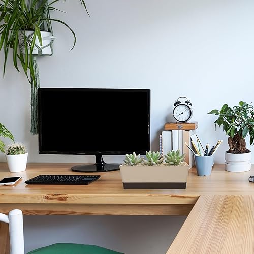 Miniatura 6 de GREANER Macetero para alféizar de ventana, 1 paquete de 12 x 3.8 pulgadas rectangular de hierbas con bandeja, moderna maceta de plástico para