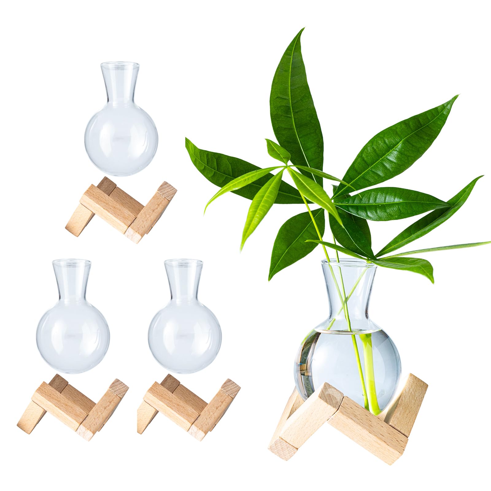 Terrarium de bureau hydroponique pour végétaliser votre salon