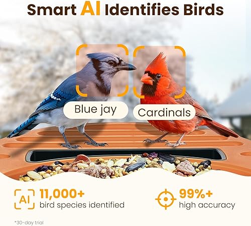 Miniatura 3 de Comedero inteligente para pájaros con cámara verde