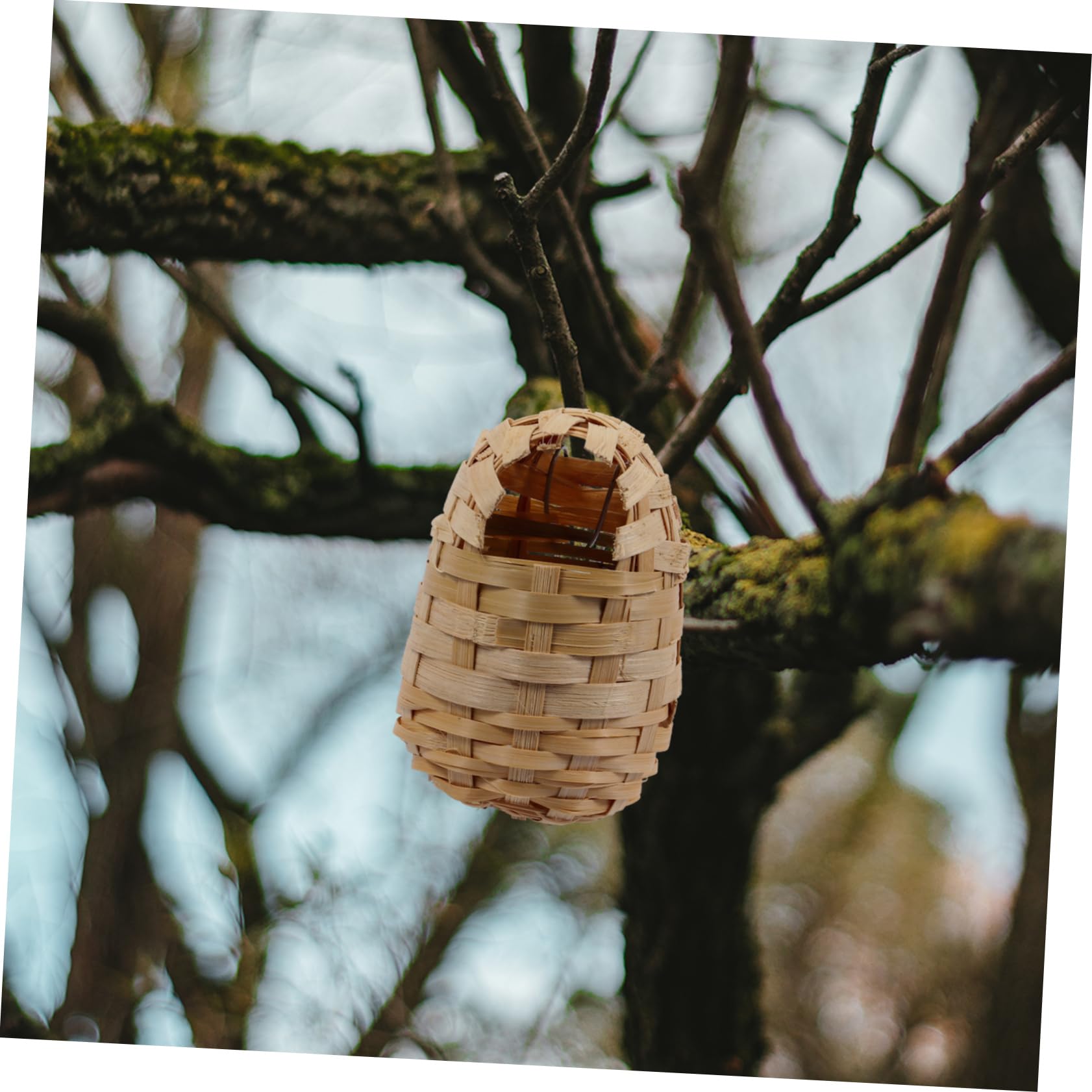 6 Casas de Pájaros Tejidas a Mano de Bambú, Refugio Cálido y Resistente para Exterior con Ganchos para Colgar en Jardín o Porche