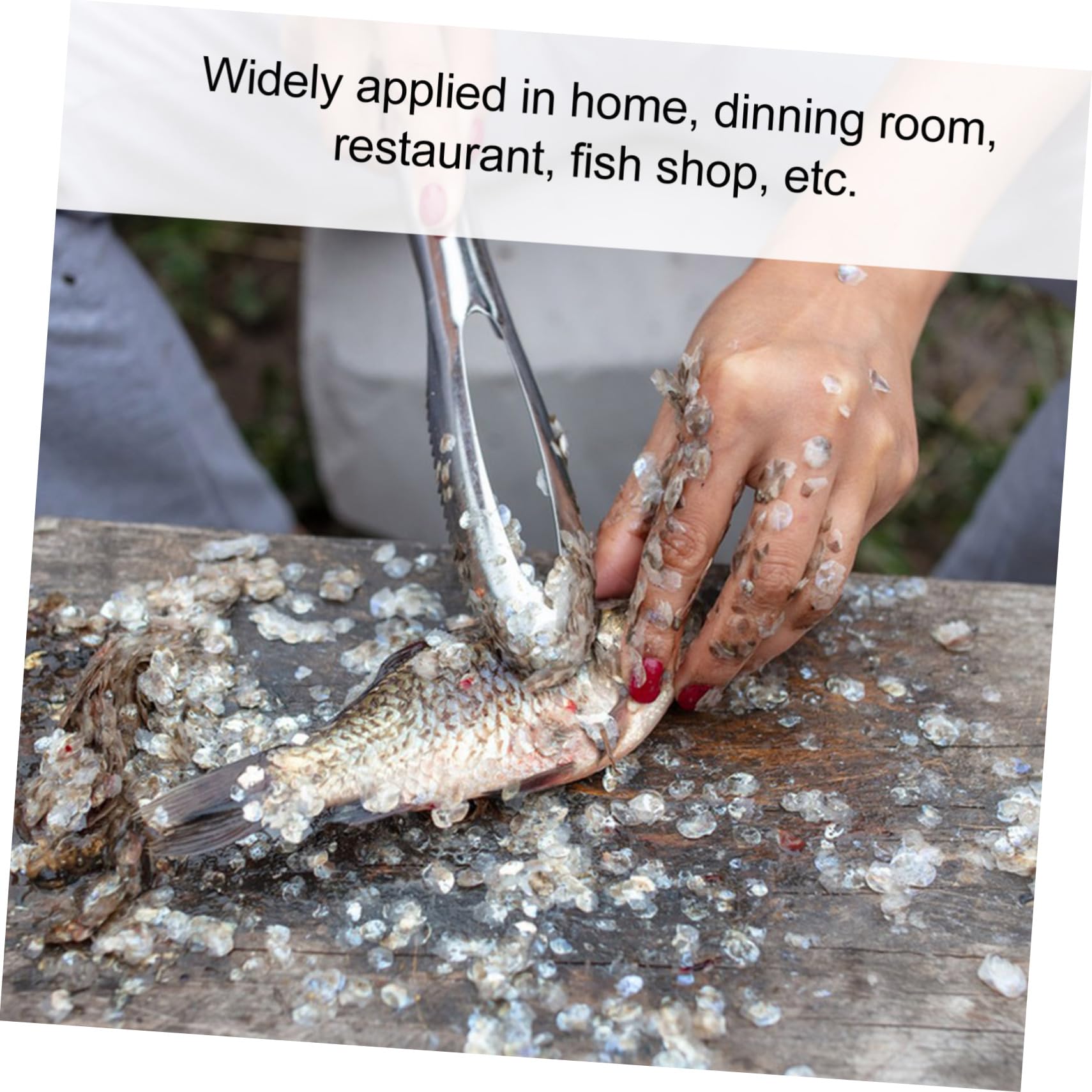 FUNOMOCYA 3 Pcs Stainless Steel Scale Remover Tool Efficient Fish Skin Cleaner for Easy Scale Removal Lightweight and Compact Kitchen Gadget for Home Chefs