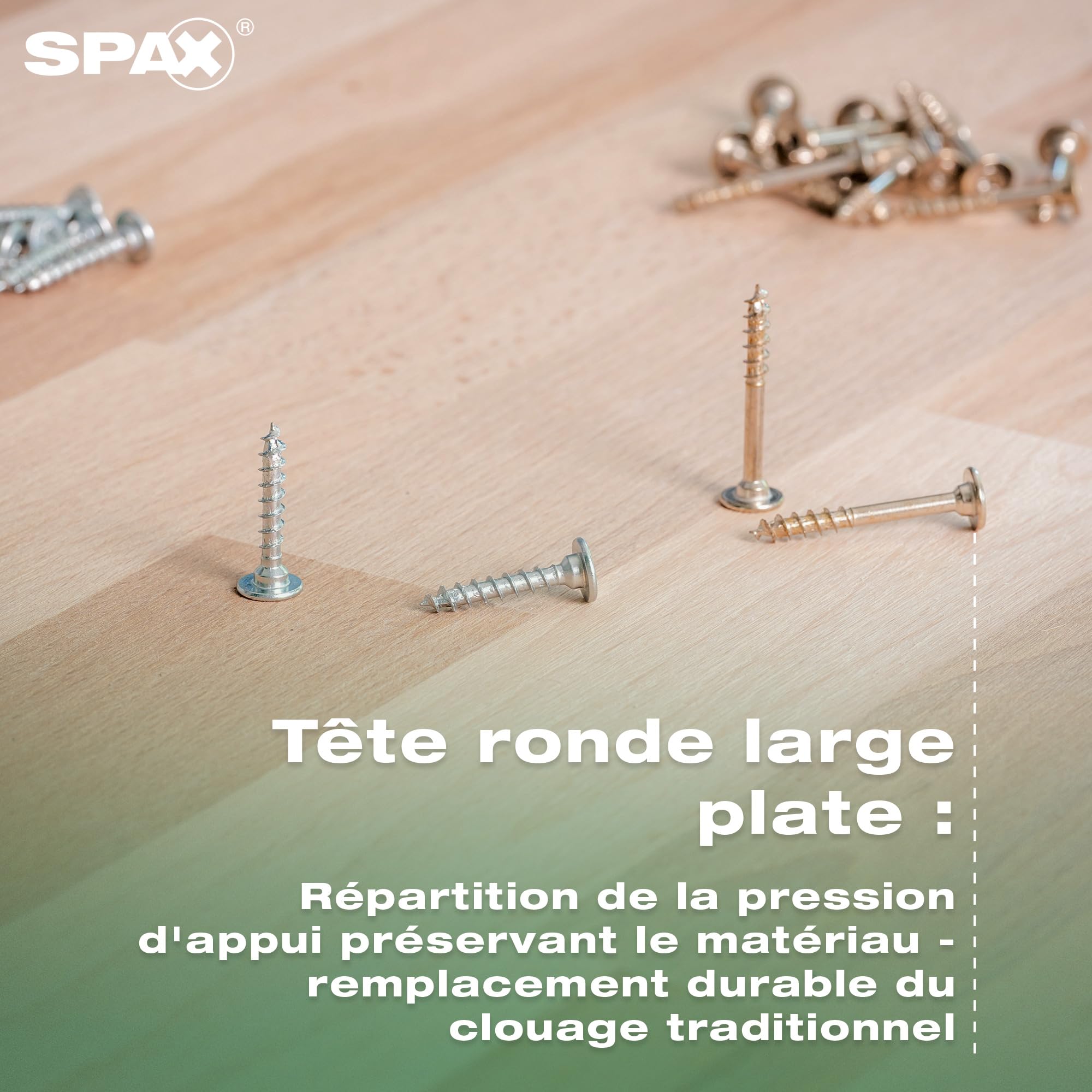 SPAX Kit de vis pour la fabrication de meubles dans systainer³ T-Loc, 2 900 vis en 12 dimensions, avec 5 embouts T20 et niveau à bulle - 8000000294617
