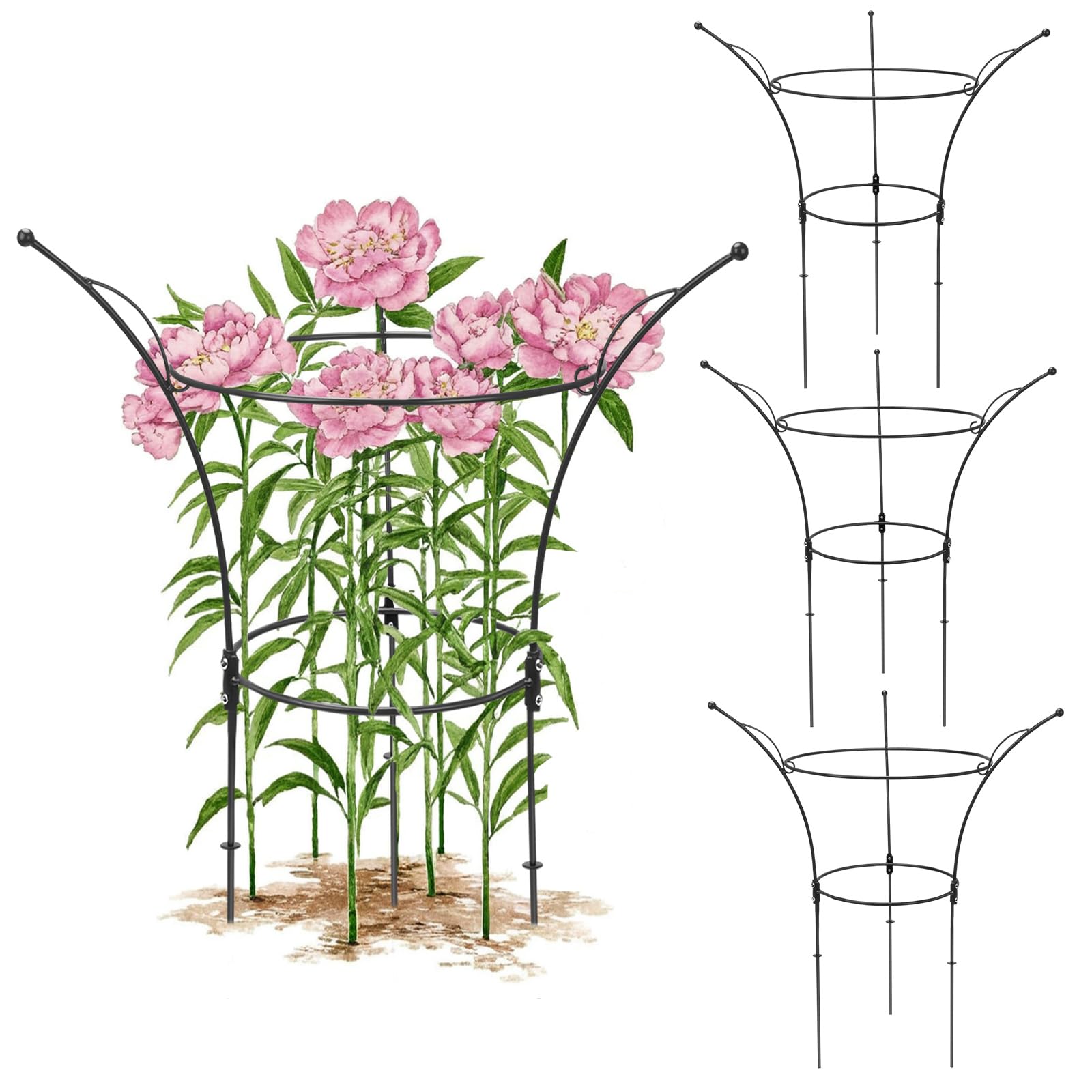 Peony Cages - Support Roses & Flowers -9 Peony Cages - Support Roses & Flowers -9
