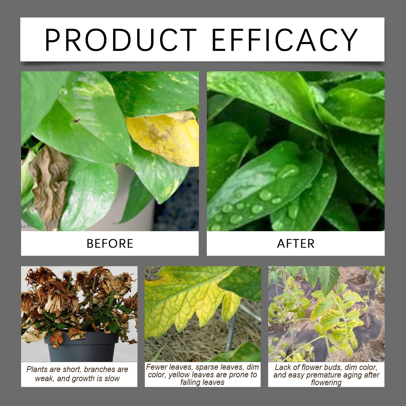 Activador de Suelo: Enmienda Orgánica para Plantas;Promueve el Crecimiento de las Raíces y Mejora la Salud del Suelo en Jardines de Interior y Exterior, Huertos,Flores y Plantas de Interior (3Piezas)