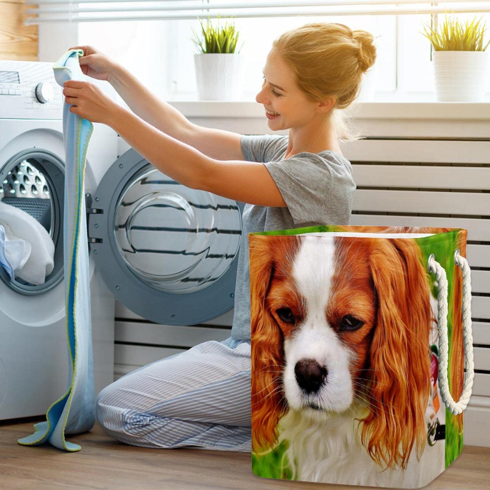 Cesto portabiancheria impermeabile, con manico per cani e cani con pelo lungo