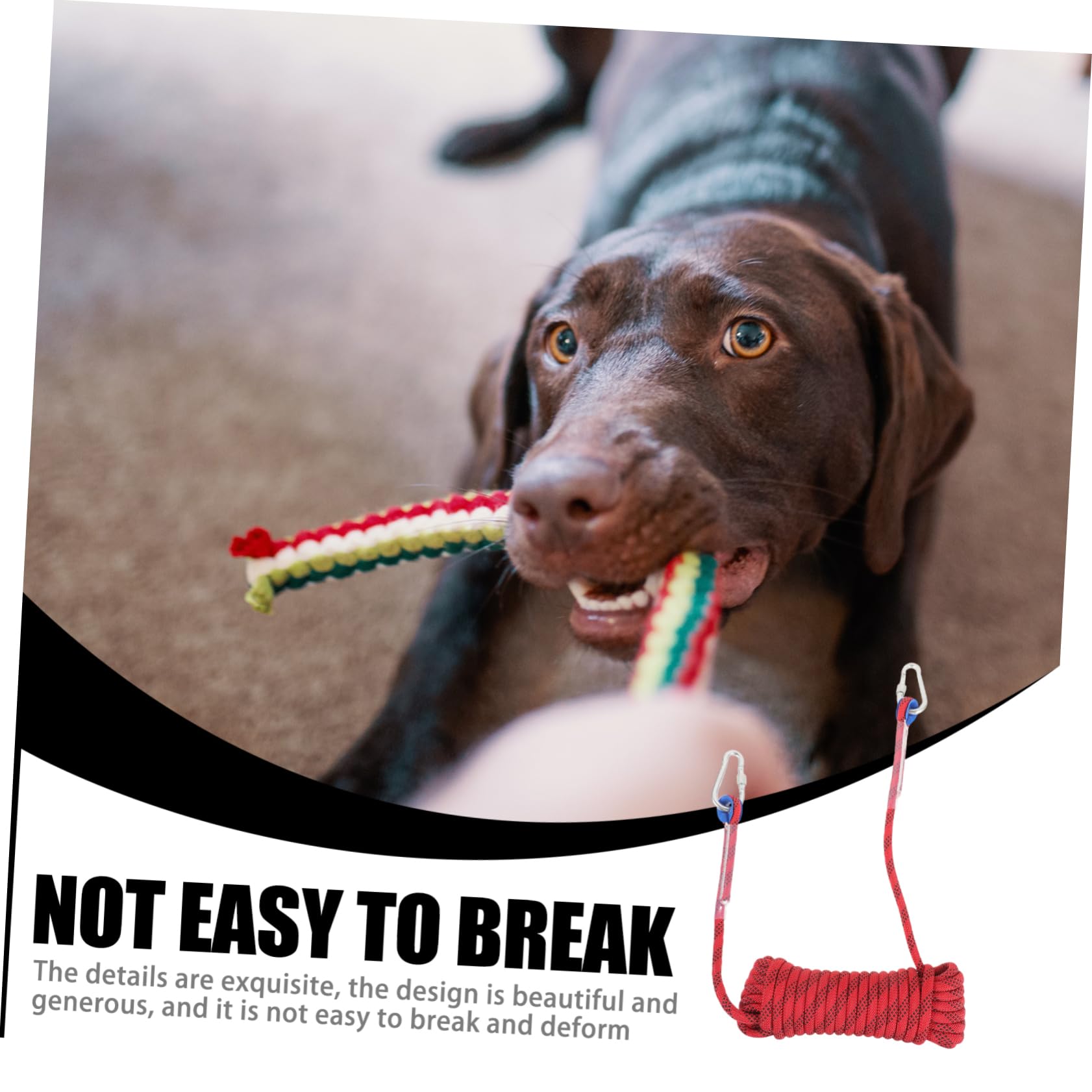 ibasenice Correa para Perro De Cable De Amarre Equipo para Acampar Cadena para Pasear Cachorros para Camping Perros Exteriores