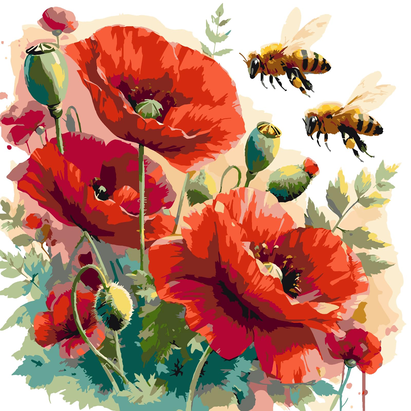 Poppies and Bees DIY Paint By Numbers Kit on Canvas 35x35cm with Frame Oil Painting Kit by Numbers for Beginners Adults Gift Home Wall Decor