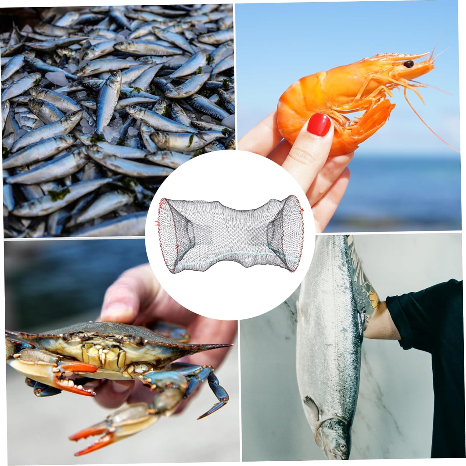 Fishing Bait Crab Minnow Keep Net Portable Mesh for Catching Shrimp Fish Lobster and Lightweight and Fishing Gear