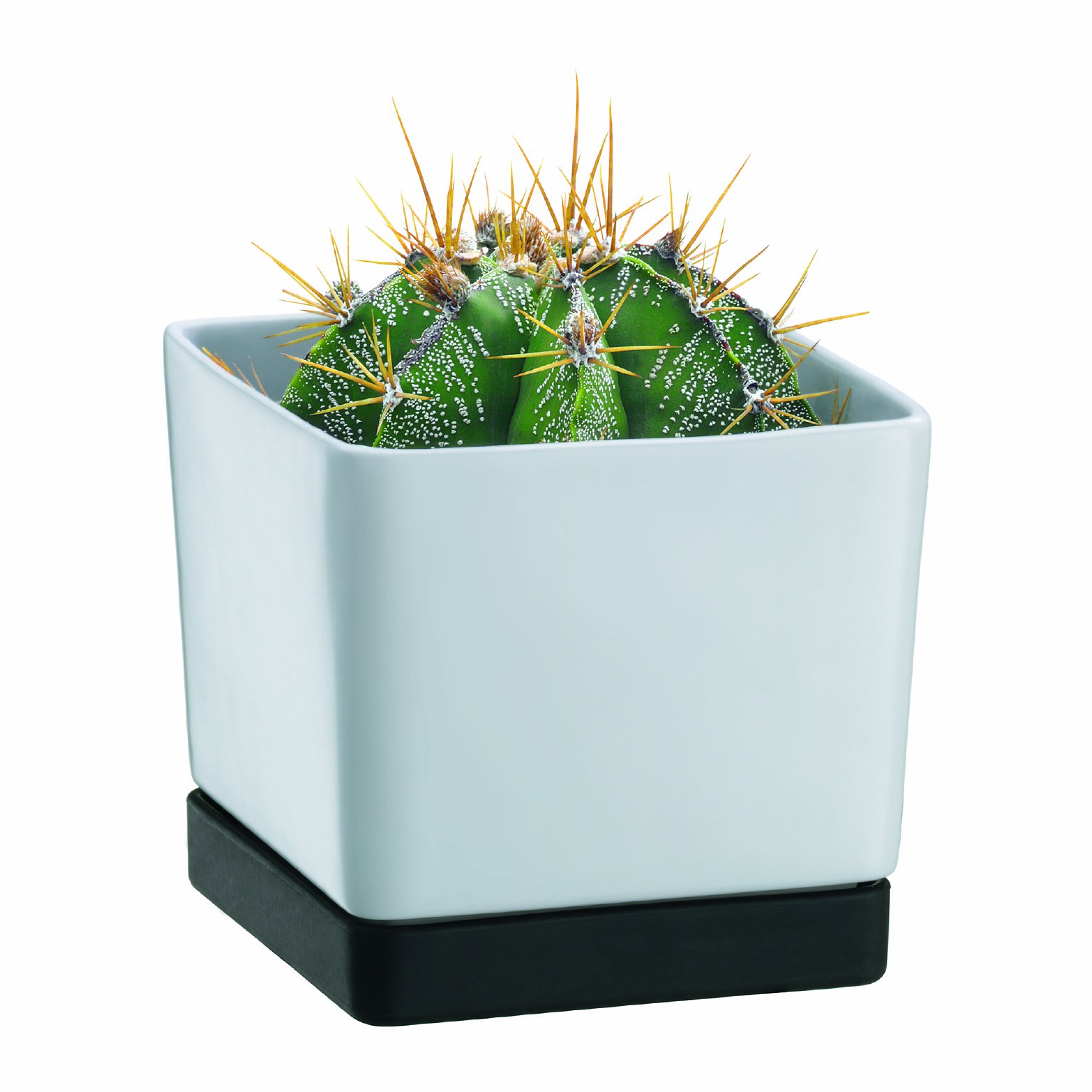Bodum POT Blumentopf, groß, viereckig, 21x21x18.5 cm, Steingut, weiß