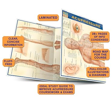 Acupressure: Laminated Reference Guide (QuickStudy Academic) (Quick Study Academic Outline)