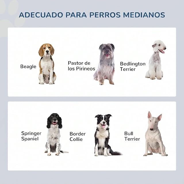 Foto 6 de 8 de PawHut Comedero Elevado para Perros con Soporte 58,4x30,5x25,4 cm Gris