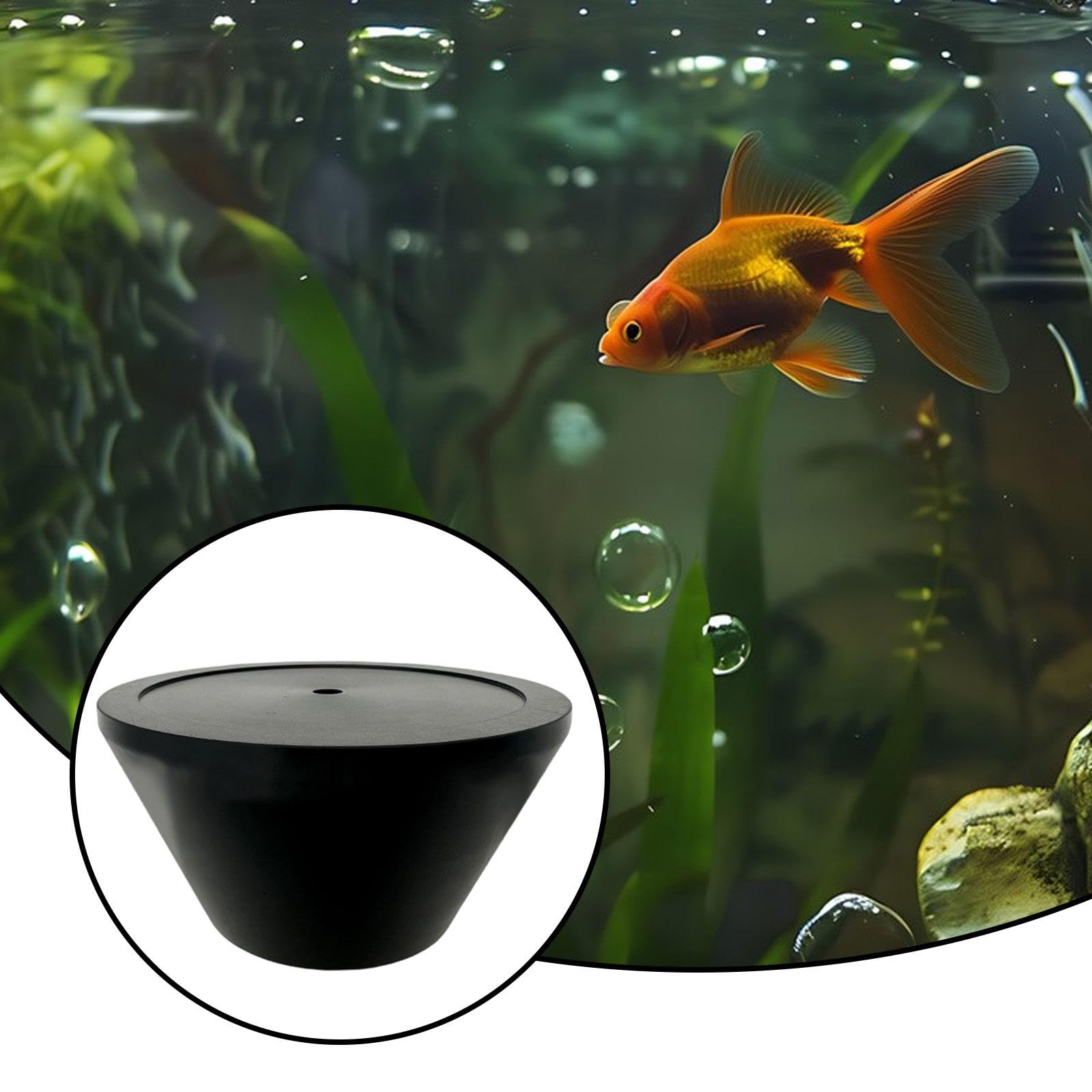 Support pour Bouteille de CO2 de 60 Mm, Compatible avec Les Systèmes D'aquarium.