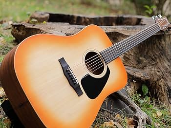 Amazon.co.jp: Morris モーリス Perfomers Edition M-011 HS