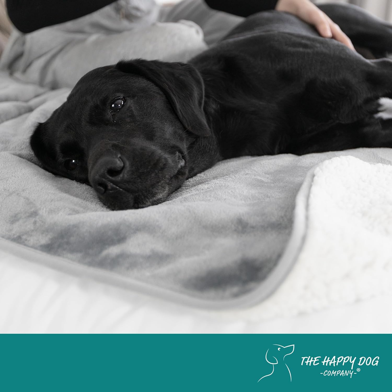 Waterproof Dog Blanket for Couch – AATCC 127 Tested DryGuard Core™, Premium Thickness 460GSM Reversible Sherpa/Fleece for Couch, Car & Bed, Furniture Protection, Gray/White, 40x47 - Image 9