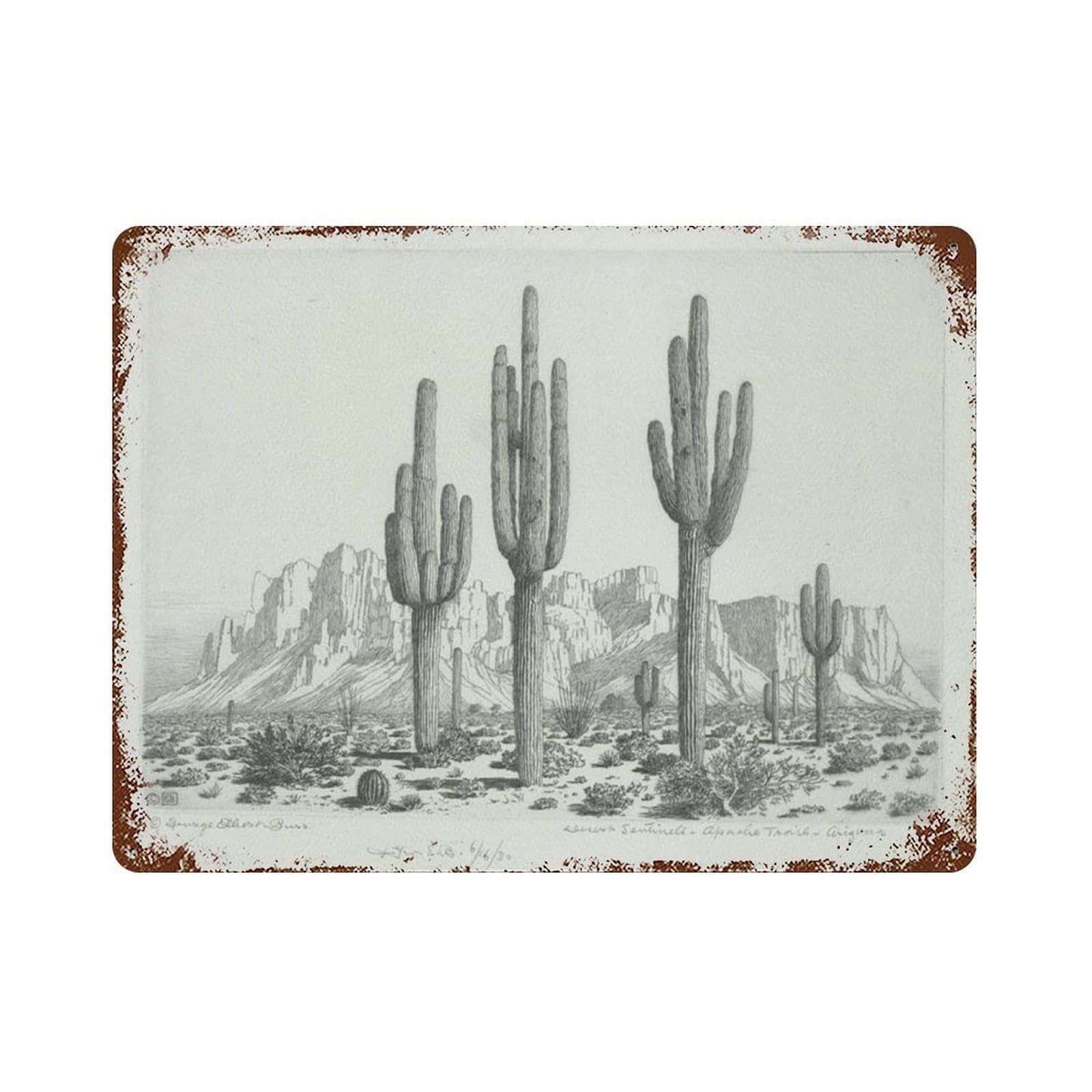 xiaoxiaoshen Arizona Desert, Southwestern, Vintage Sketch Landscape Wilderness, Wall Decor Art Metal Tin Poster Modern Home Decor Art Home Bar Shop Decorations Vintage Sign 30x40cm