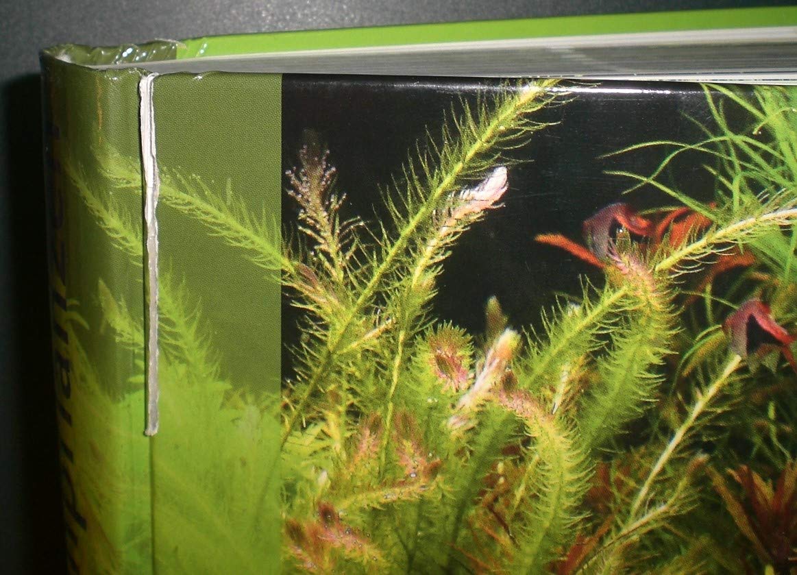 Aquarienpflanzen: 450 Arten im Porträt
