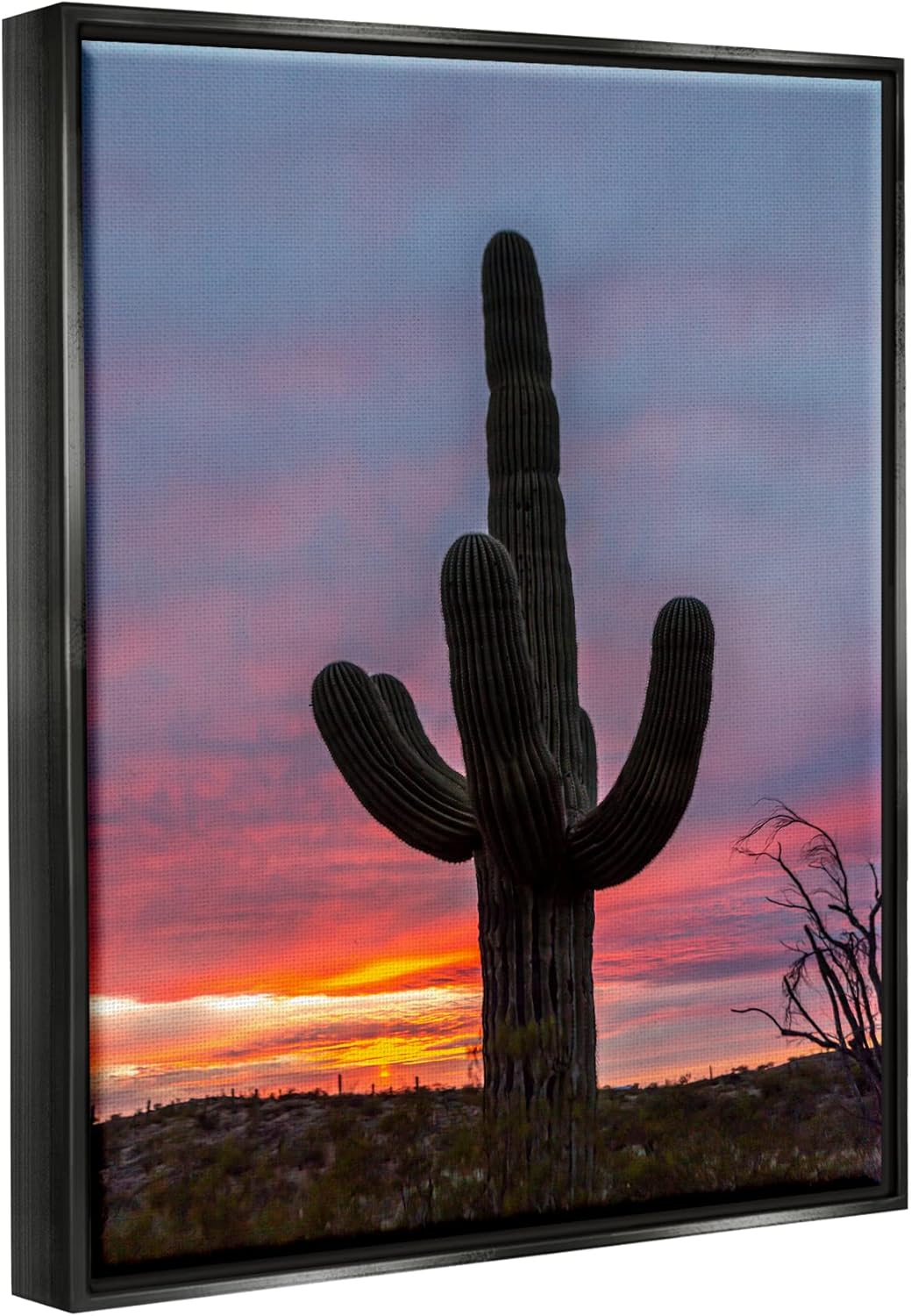 Stupell Industries Desert Cactus Plant Silhouette Radiant Sunset Sky, Design by Jeff Poe Photography