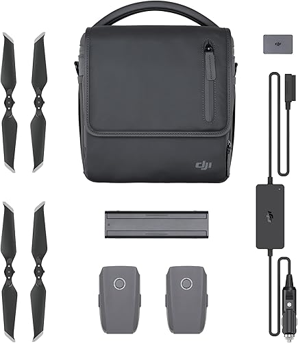 DJI Mavic 2 Enterprise Advanced Fly More Kit - Kit esencial con baterías inteligentes de autocalentamiento, cargadores de batería, hélices, una